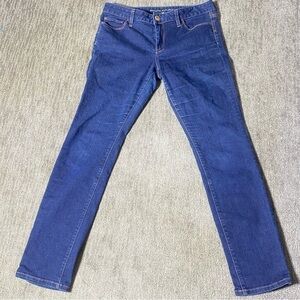 Banana Republic Skinny Fit Jeans Women 29S Blue Low Rise Stretch Casual Denim